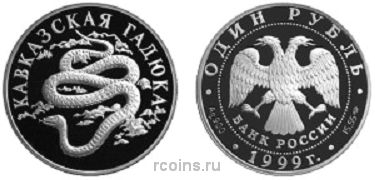 1 рубль 1999 года Кавказская гадюка