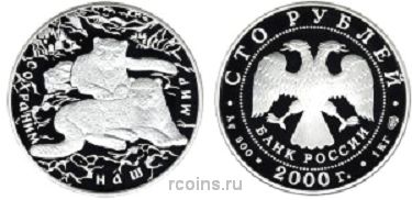 100 рублей 2000 года Сохраним наш мир - Снежный барс
