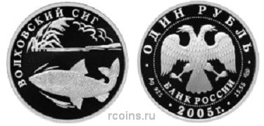 1 рубль 2005 года Волховский сиг