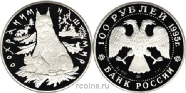 100 рублей 1995 года Сохраним наш мир - Рысь